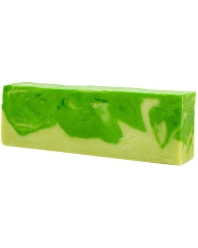 Barra de Jabón de Aloe Vera